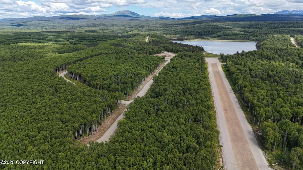 Airstrip Looking Northeast