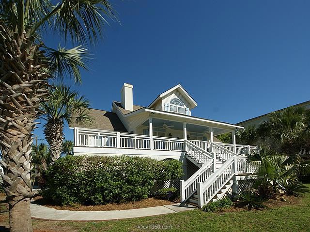 Palm 34