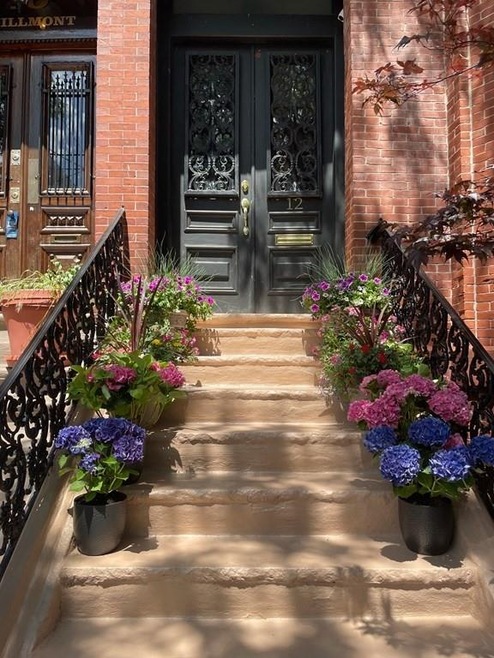 12 Millmont St unit B, Roxbury, MA 02119 - photo 1