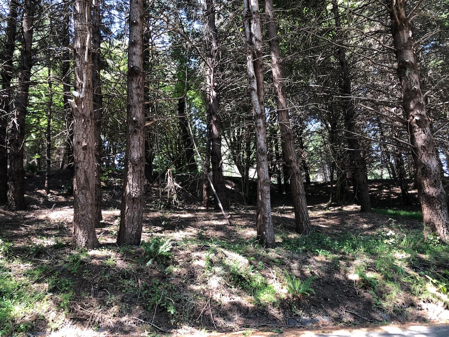 522 Beach Rd, Whitethorn, CA 95589 - photo 1