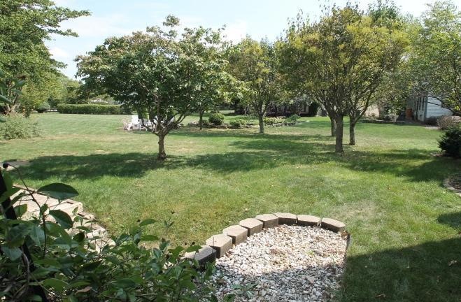 Great yard