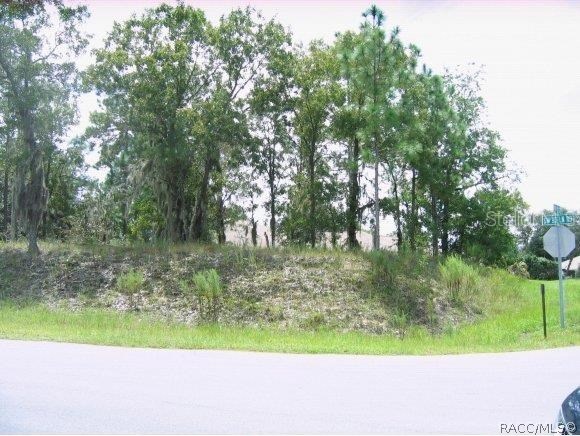 unlisted-address, Dunnellon, FL 34432 - photo 1