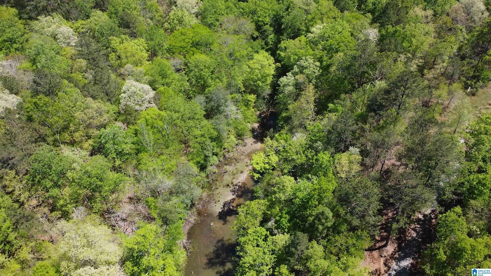 0 Lake Geneva Dr unit 25 21415570, Wedowee, AL 36278 - photo 1