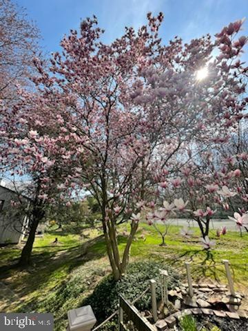 56 Dendron Ct, Parkville, MD 21234 - photo 1