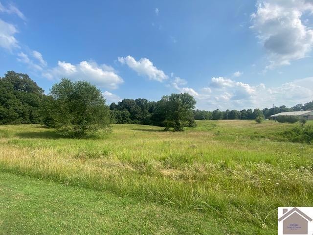 8.4 Acres on Us Hwy 641, Benton, KY 42025 - photo 1