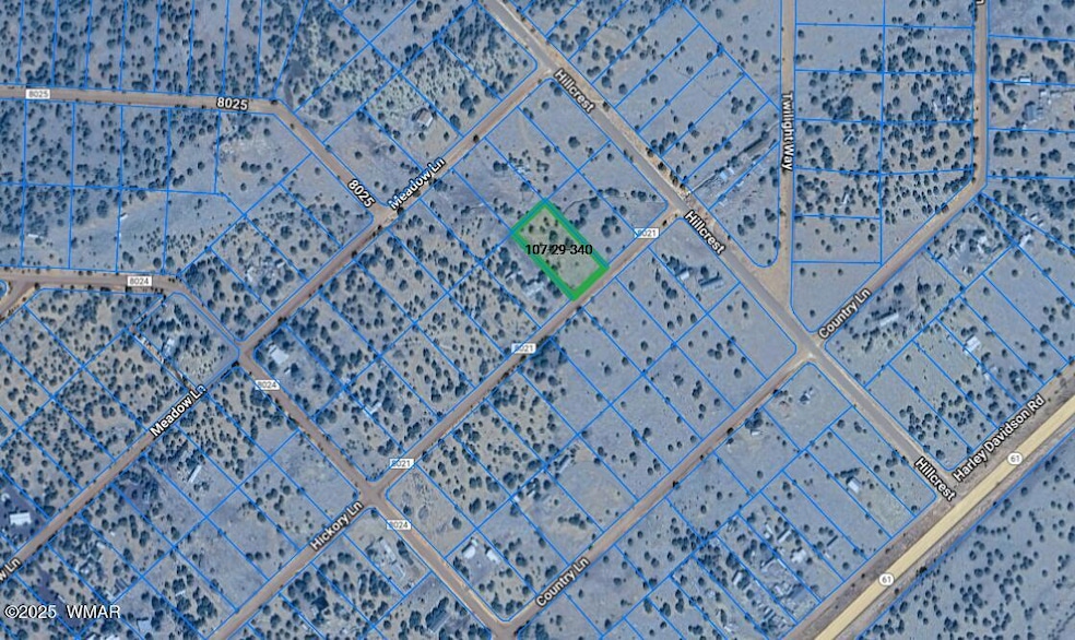 Screenshot 2025-03-25 134935