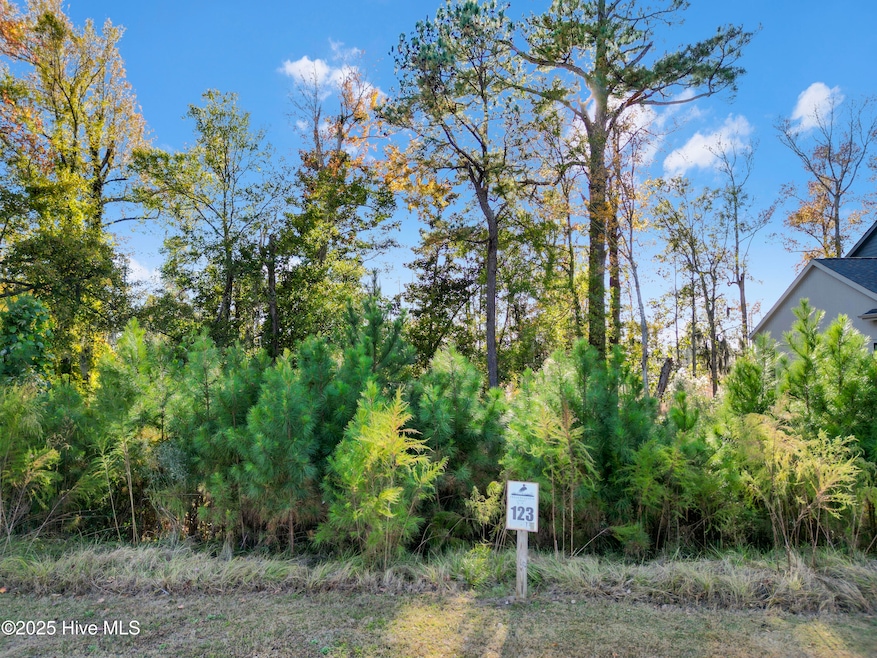 344 Preservation Point, Wilmington, NC 28401 - photo 1