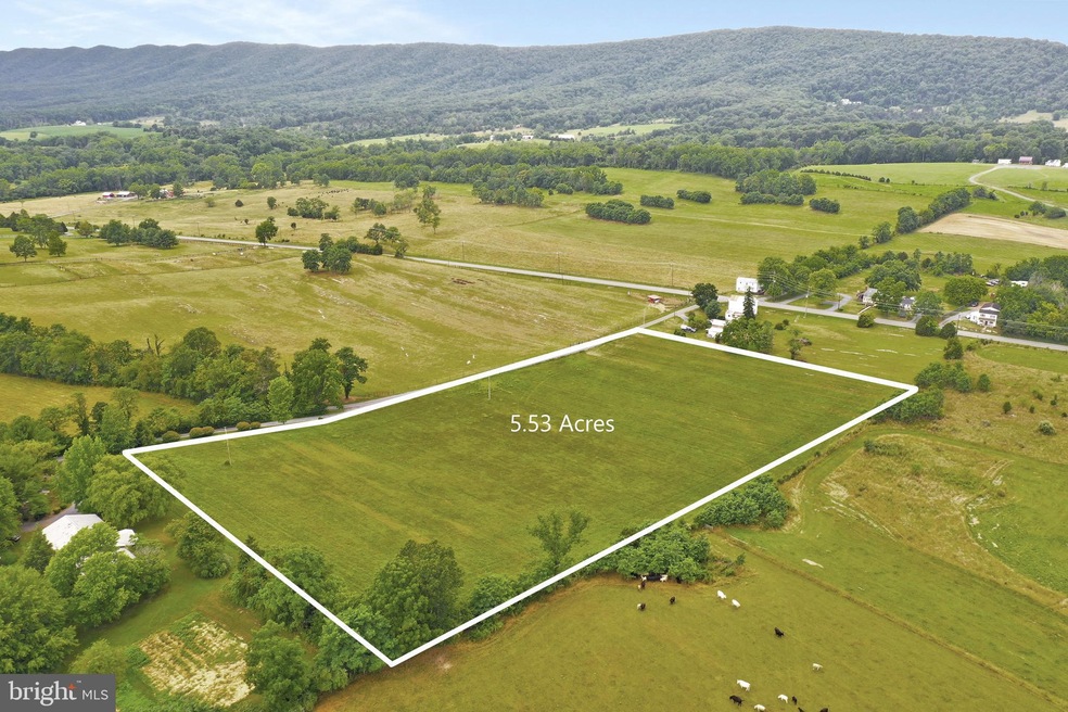 TBD Old Grade Rd, Strasburg, VA 22657 - photo 1