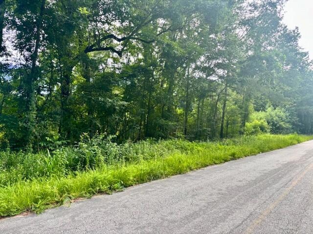 8946 Anderson Rd, Adams Run, SC 29426 - photo 1