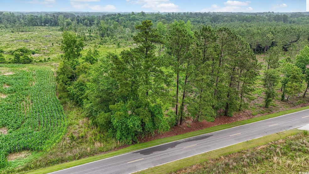 Drone / aerial view of a heavily wooded area
