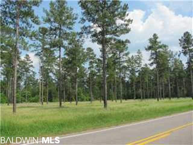 0 Wilmer Rd unit 243889, Wilmer, AL 36507 - photo 1