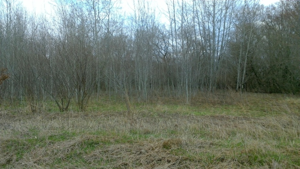 WIN_20190416_14_26_47_Pro