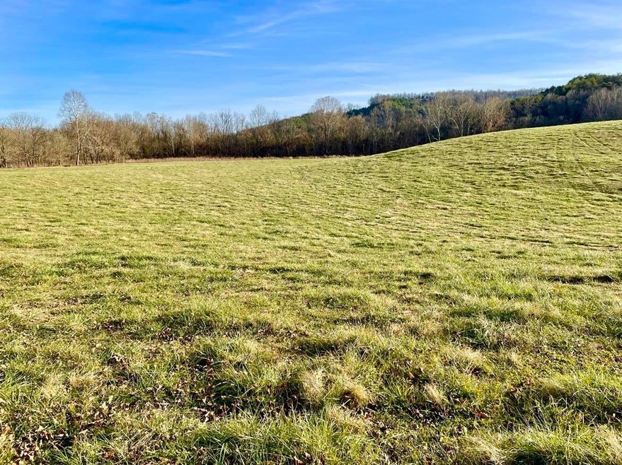 231 Highway 1003, Somerset, KY 42501 - photo 1