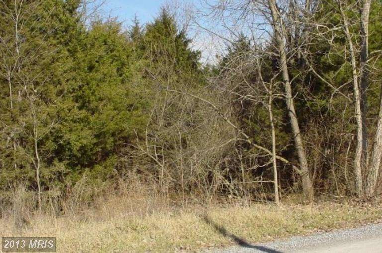 0 White Oak Rd unit 1003822060, Luray, VA 22835 - photo 1