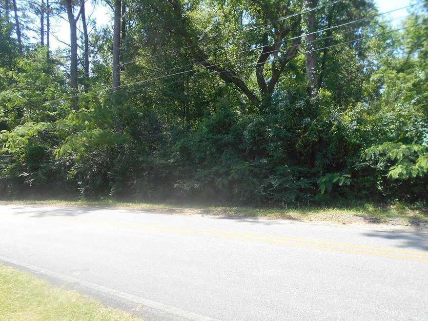 Lot 33 Horseshoe Bend, Cairo, GA 39828 - photo 1