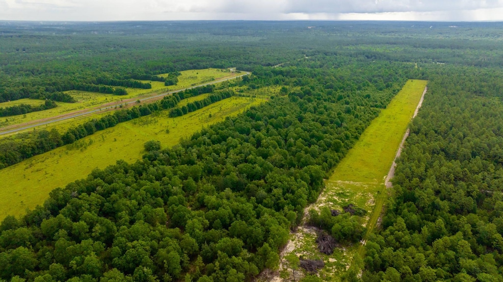 10-web-or-mls-Long Branch Farms Aerial-1