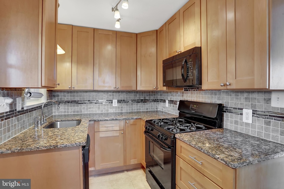 10825 Crest St, Fairfax, VA 22030 - photo 1