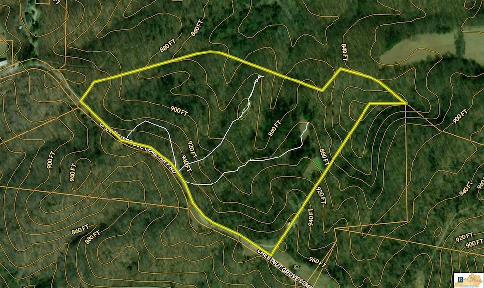 527 Chestnut Grove Cemetery Rd, Bonnieville, KY 42713 - photo 1