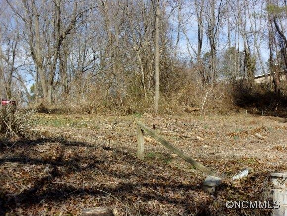 120 Raleigh Ave unit 2, Asheville, NC 28803 - photo 1