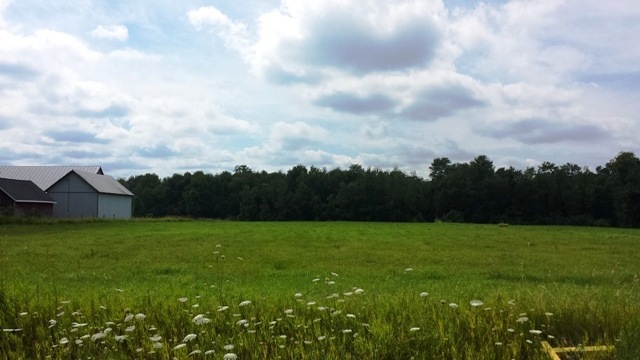 Land