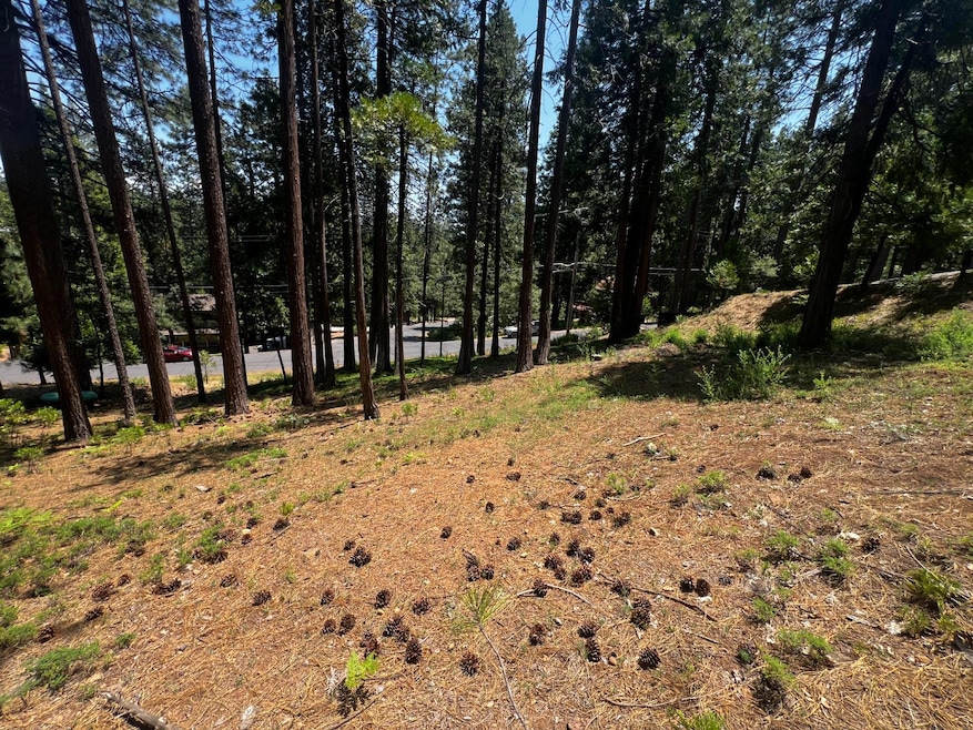 2904 Venado Dr, Arnold, CA 95223 - photo 1