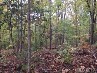 Picture taken from driveway easement.  Nice slopin