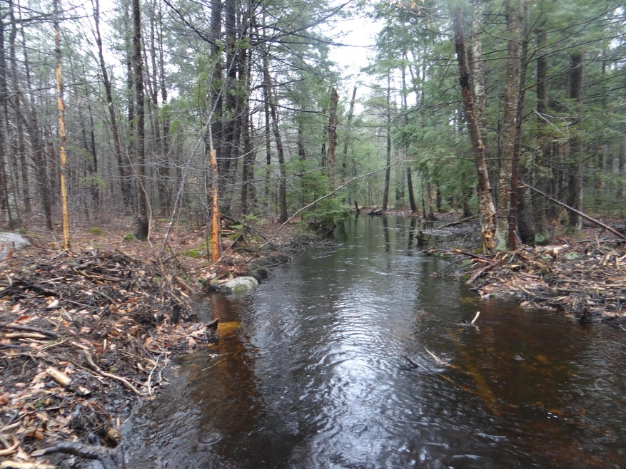 Stickey River