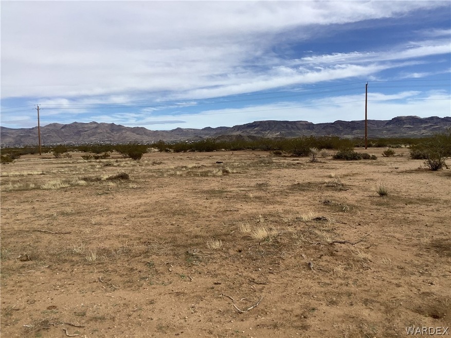 Looking east towards the north a bit from inside the lot, poles along S Adobe.