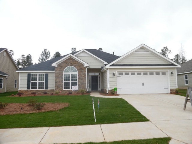 Main View