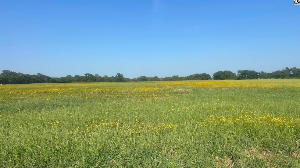 000 SW 60th St, Burrton, KS 67020 - photo 1