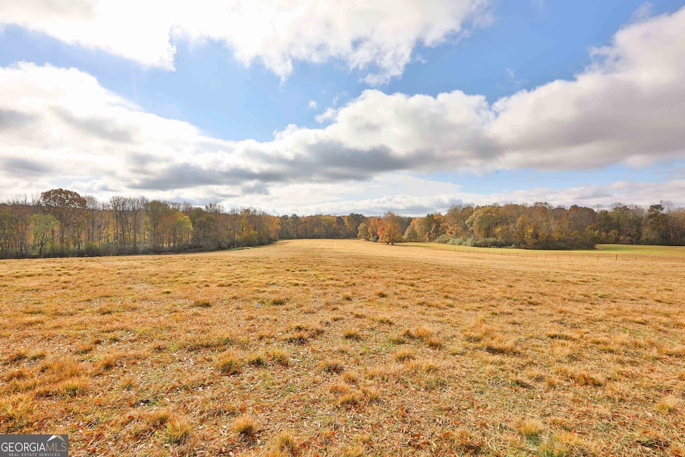 LOT 7 Mask Road - Hanner's Farm S, Brooks, GA 30205 - photo 1
