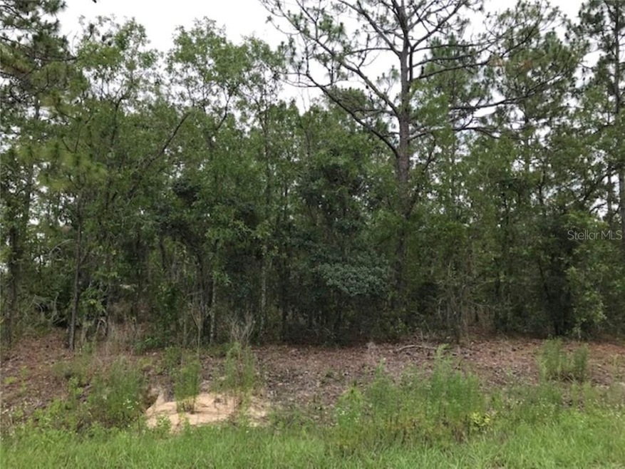 Lightly wooded lot backs to large acreage.