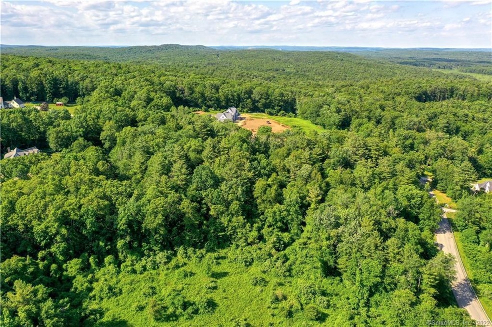 06 Herindeen Landing, Woodstock, CT 06281 - photo 1