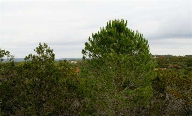 Imagine your relaxation with a view from the second story of your custom home!