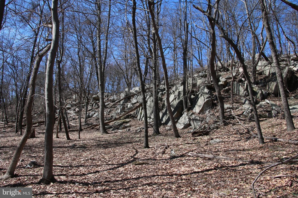 0 Back Rd unit VASH2003604, Toms Brook, VA 22660 - photo 1