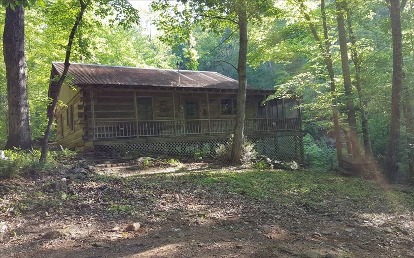 Main View