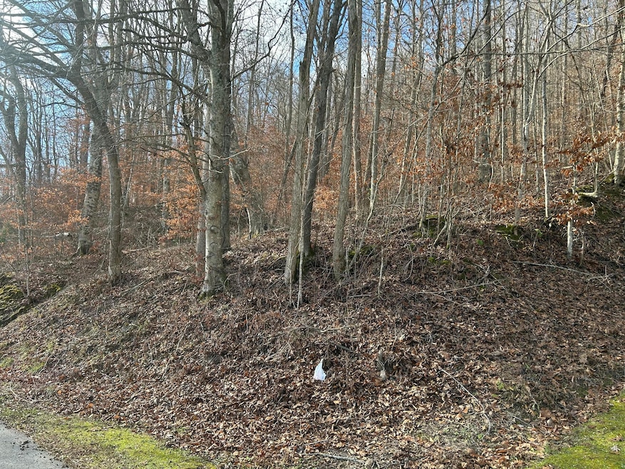 TBD N Fork Rd, Patsey, KY 40380 - photo 1