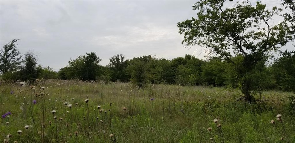 21&22 Fry Ct, Decatur, TX 76234 - photo 1