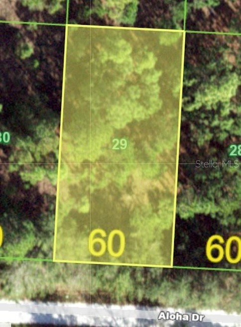 27318 Aloha Dr, Punta Gorda, FL 33955 - photo 1