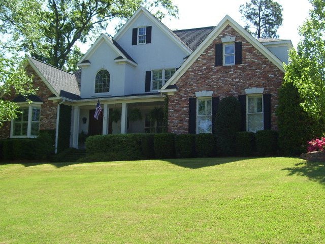 Main View
