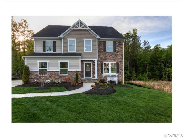 17006 Meadow Sage Dr, Moseley, VA 23120 - photo 1