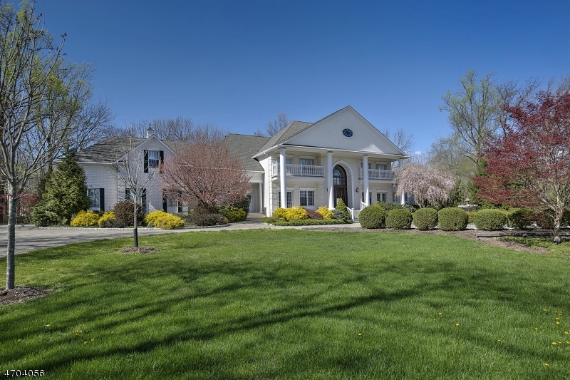 20 Canoe Brook Ln, Far Hills, NJ 07931 - photo 1