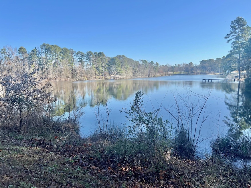 Water view with a wooded view