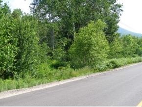 0 Pollard Rd unit 291.2 4650735, Lincoln, NH 03251 - photo 1