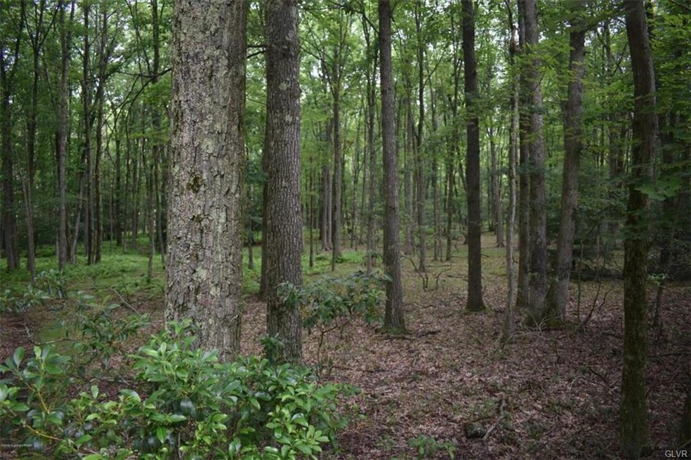 50 Bayberry Ln, Jim Thorpe, PA 18229 - photo 1