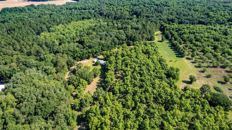 4309 Jimmy Goff Ct, Albany, GA 31705 - photo 1