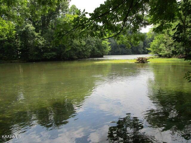 0 Tampico Rd, Rutledge, TN 37861 - photo 1