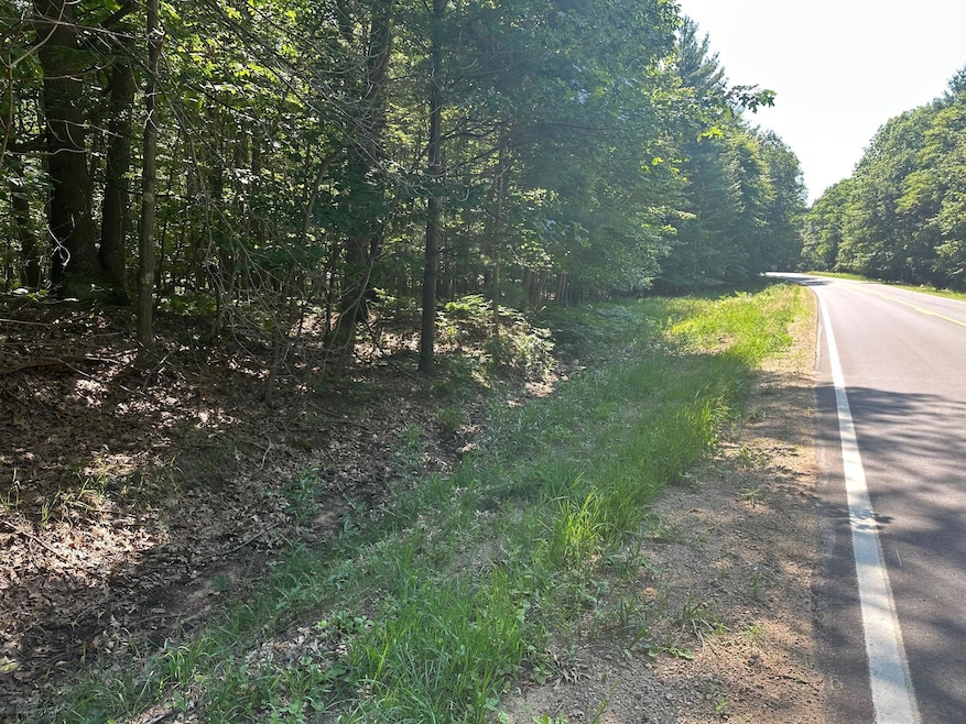 For Sale $49,900 • Co-Listing Agent