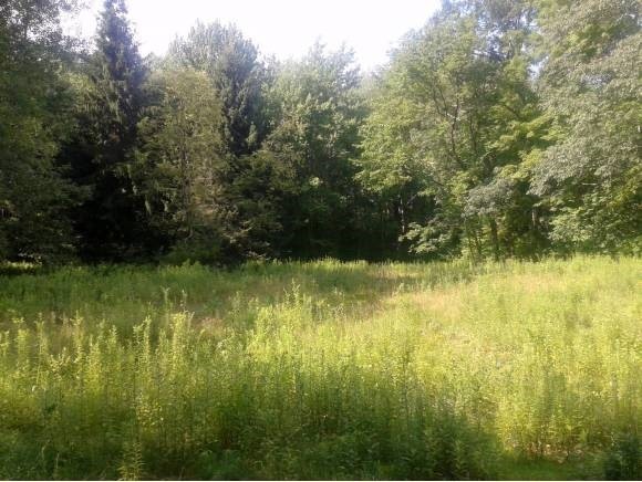00 Halls Mill Rd, Newfields, NH 03856 - photo 1