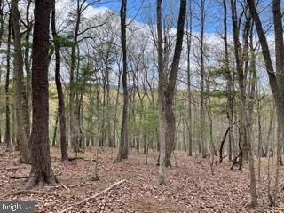 0 Hungaria Rd unit WVMO118352, Berkeley Springs, WV 25411 - photo 1